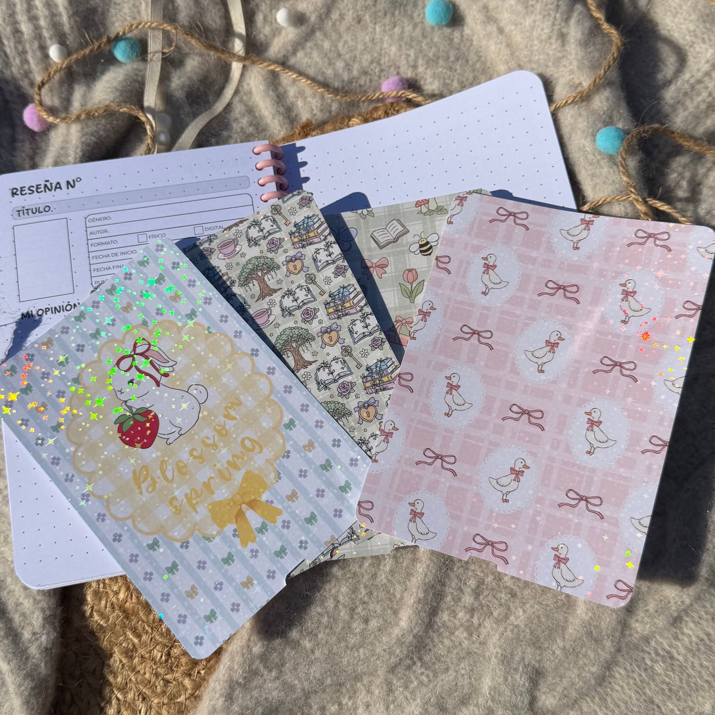 Kindle insert spring